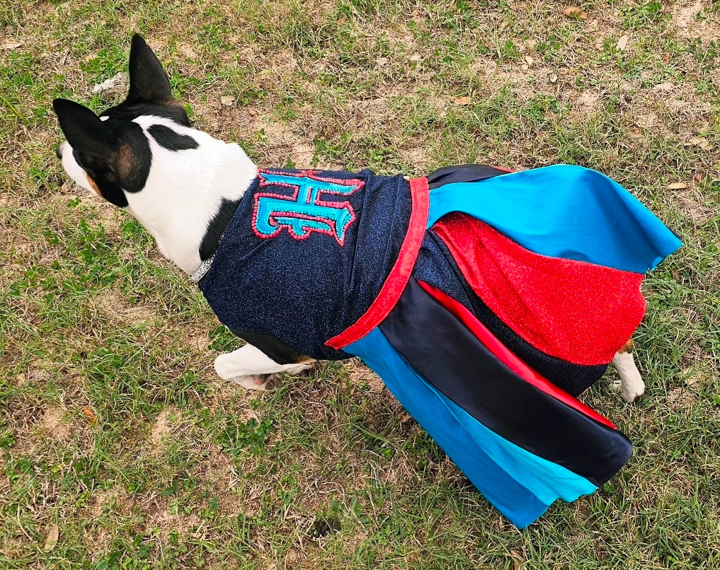 H-Town Texans color rush pet dress, Texans pet dress, Glitter Texans pet dress