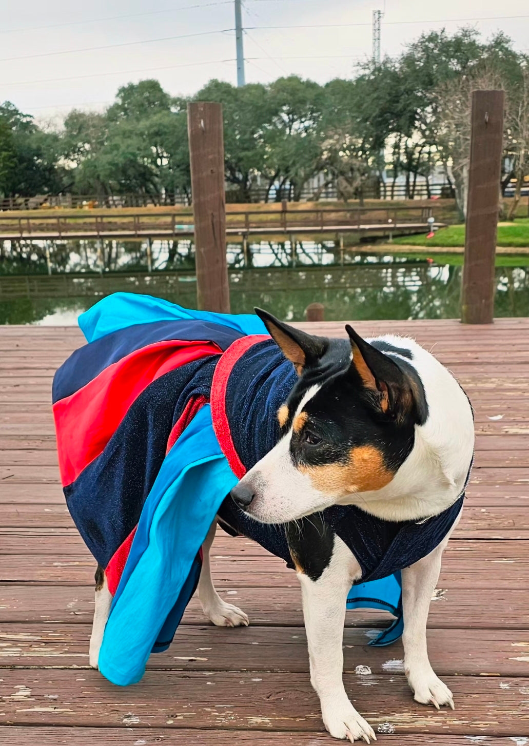 H-Town Texans color rush pet dress, Texans pet dress, Glitter Texans pet dress