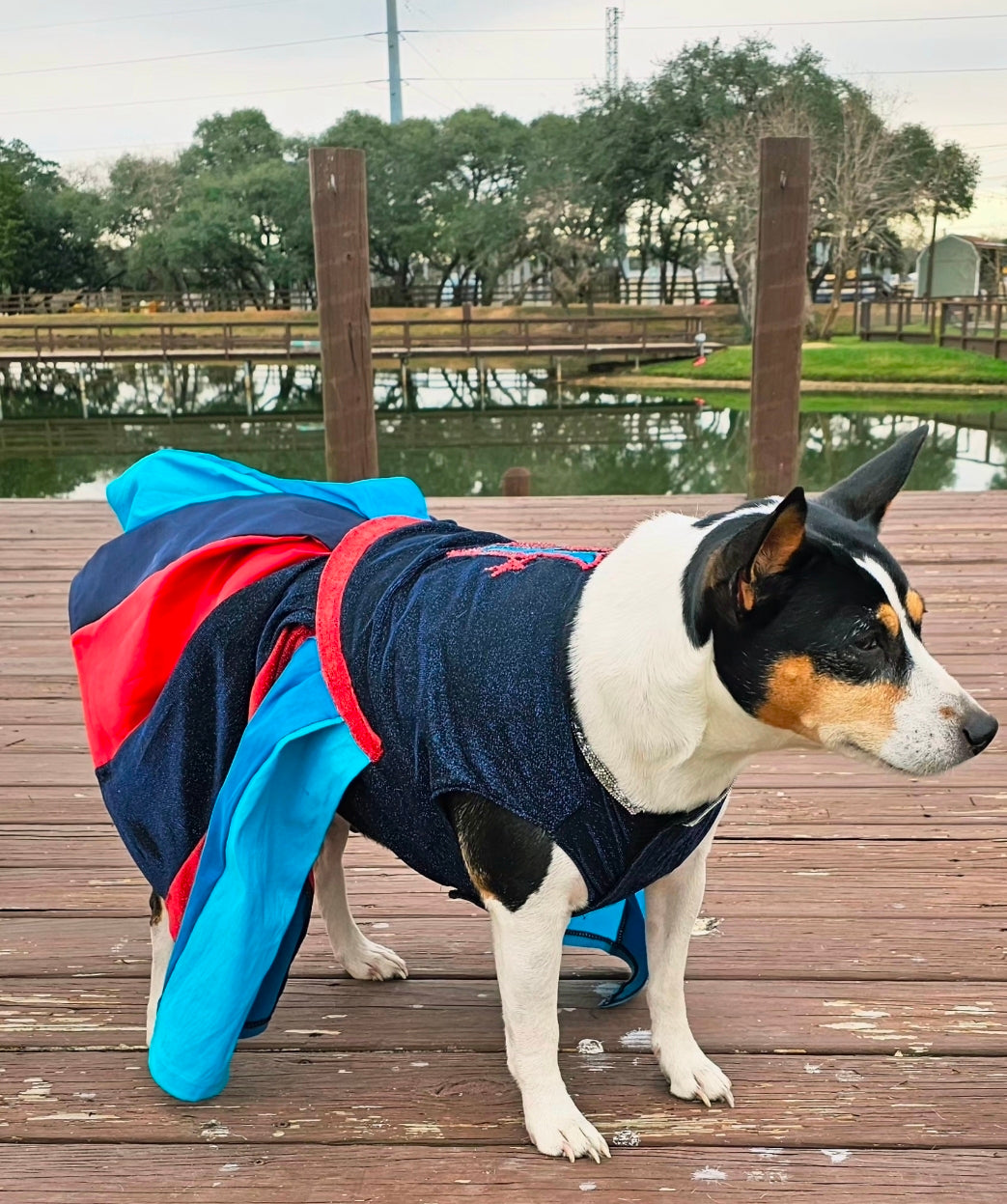 H-Town Texans color rush pet dress, Texans pet dress, Glitter Texans pet dress