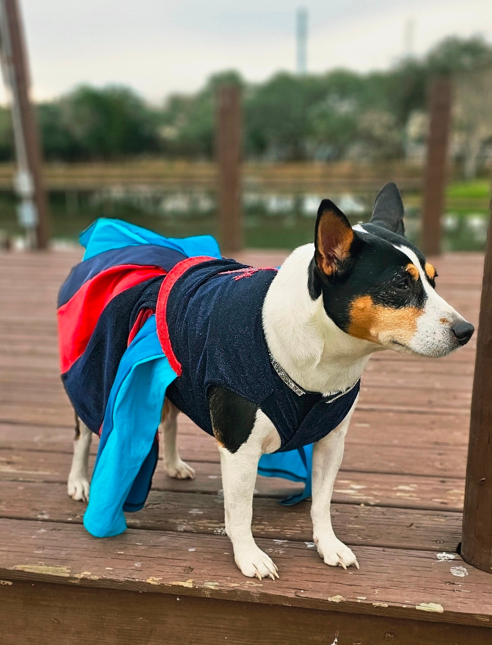 H-Town Texans color rush pet dress, Texans pet dress, Glitter Texans pet dress