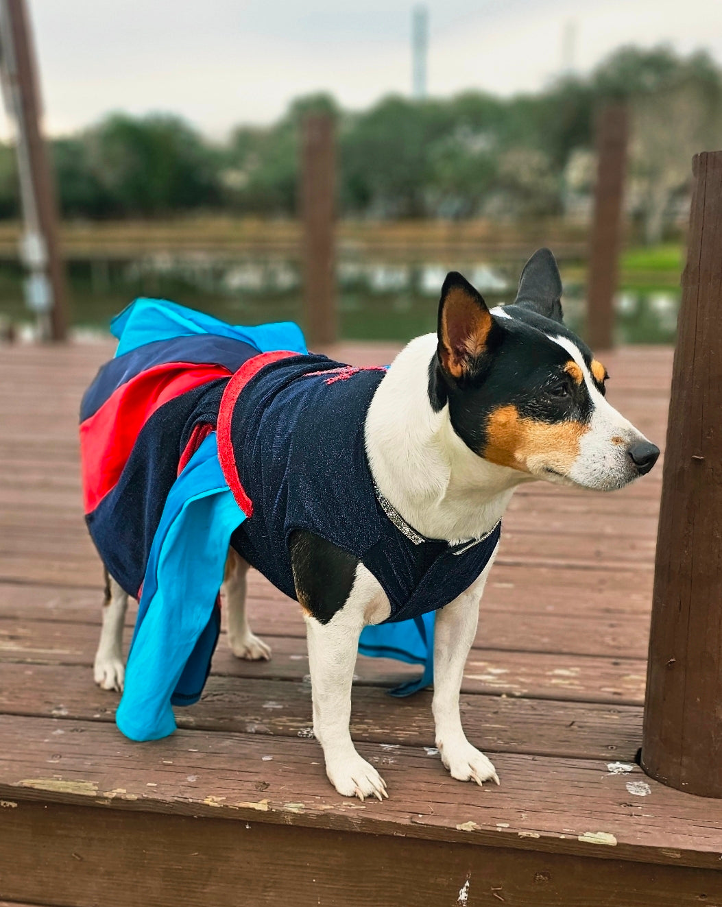 H-Town Texans color rush pet dress, Texans pet dress, Glitter Texans pet dress