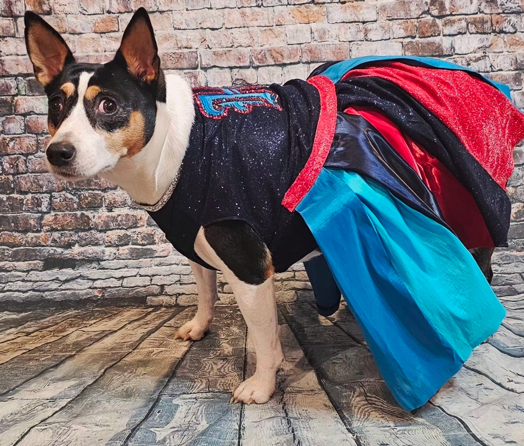 H-Town Texans color rush pet dress, Texans pet dress, Glitter Texans pet dress