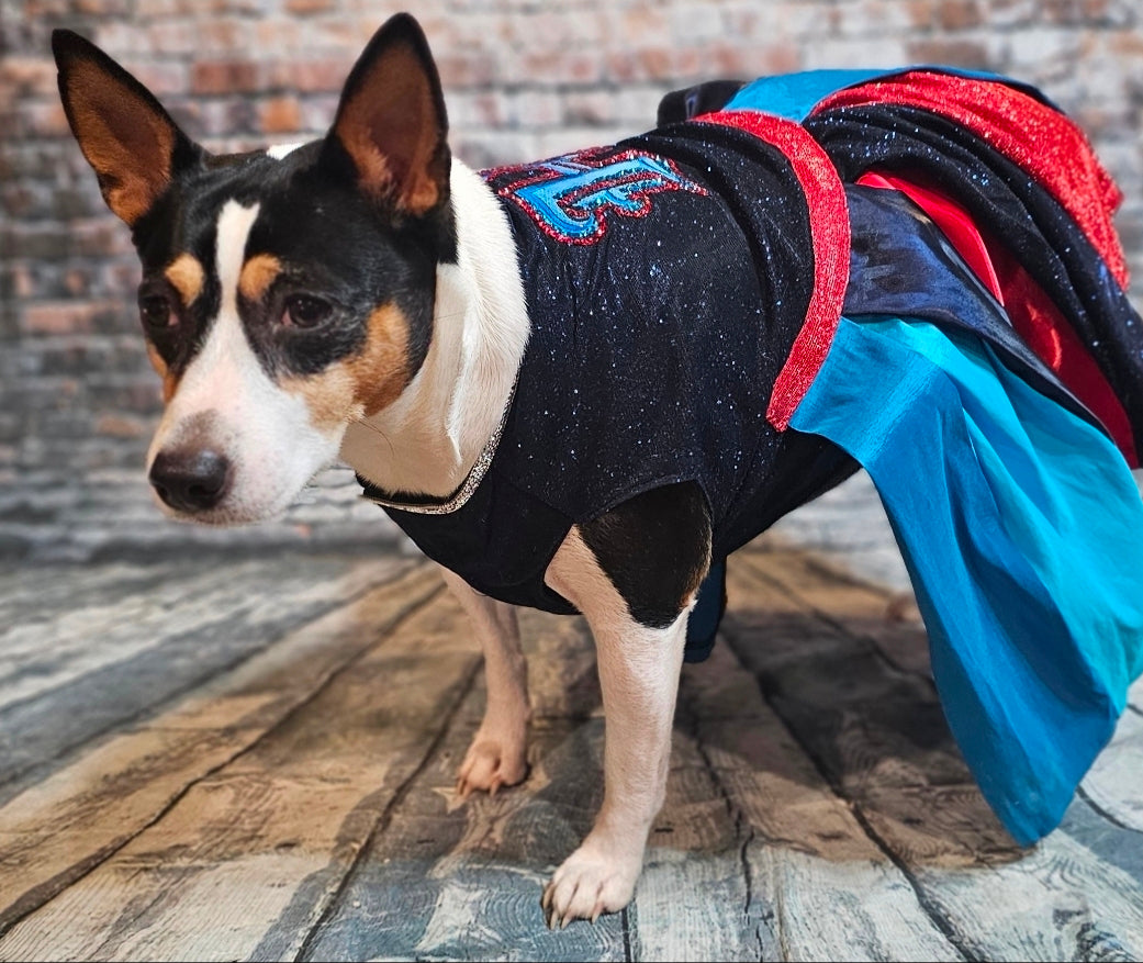 H-Town Texans color rush pet dress, Texans pet dress, Glitter Texans pet dress