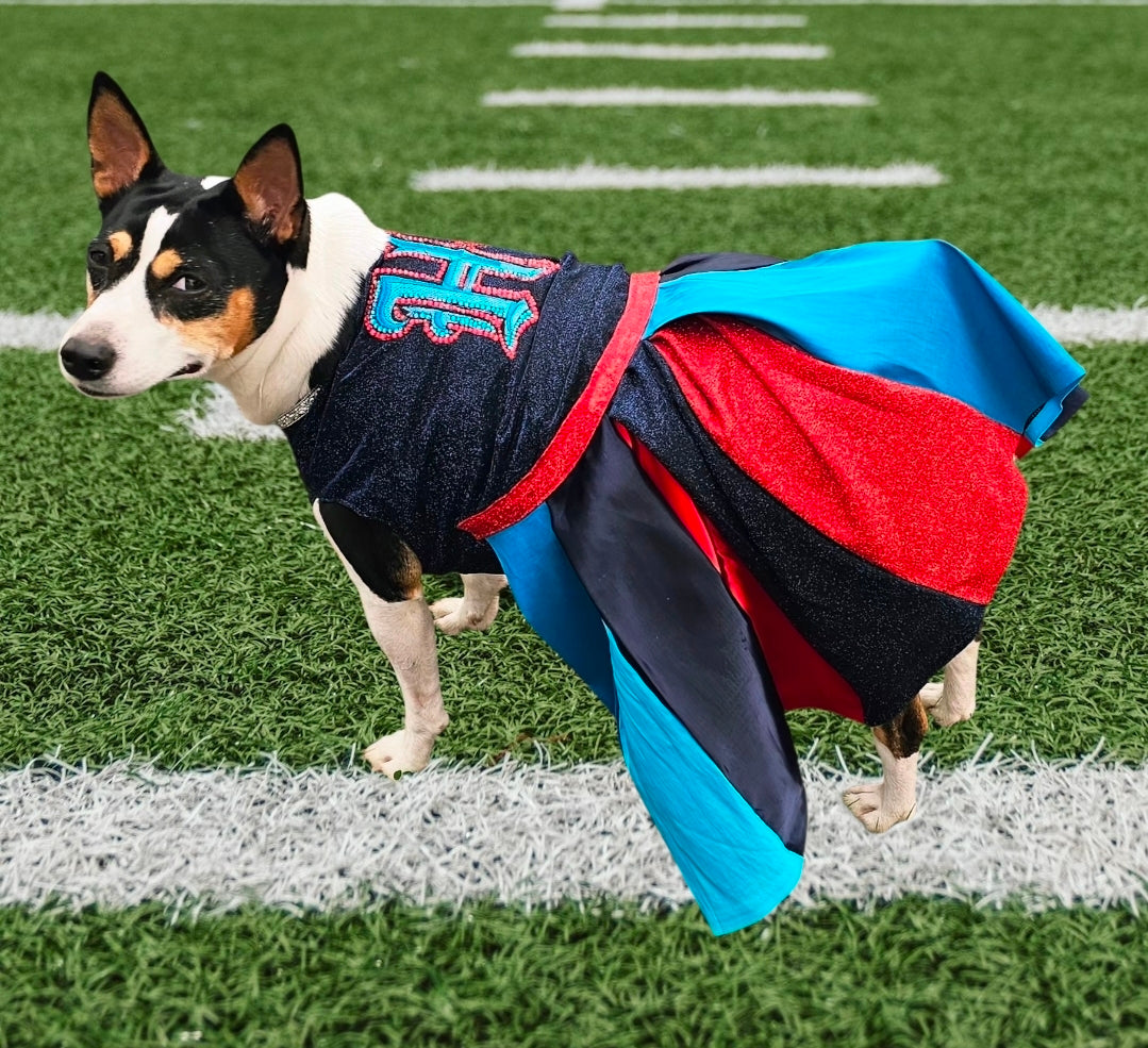 H-Town Texans color rush pet dress, Texans pet dress, Glitter Texans pet dress
