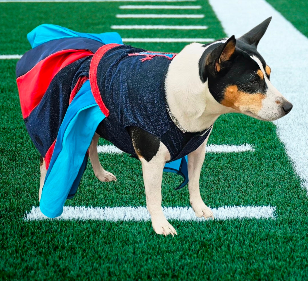 H-Town Texans color rush pet dress, Texans pet dress, Glitter Texans pet dress