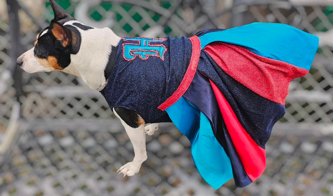 H-Town Texans color rush pet dress, Texans pet dress, Glitter Texans pet dress
