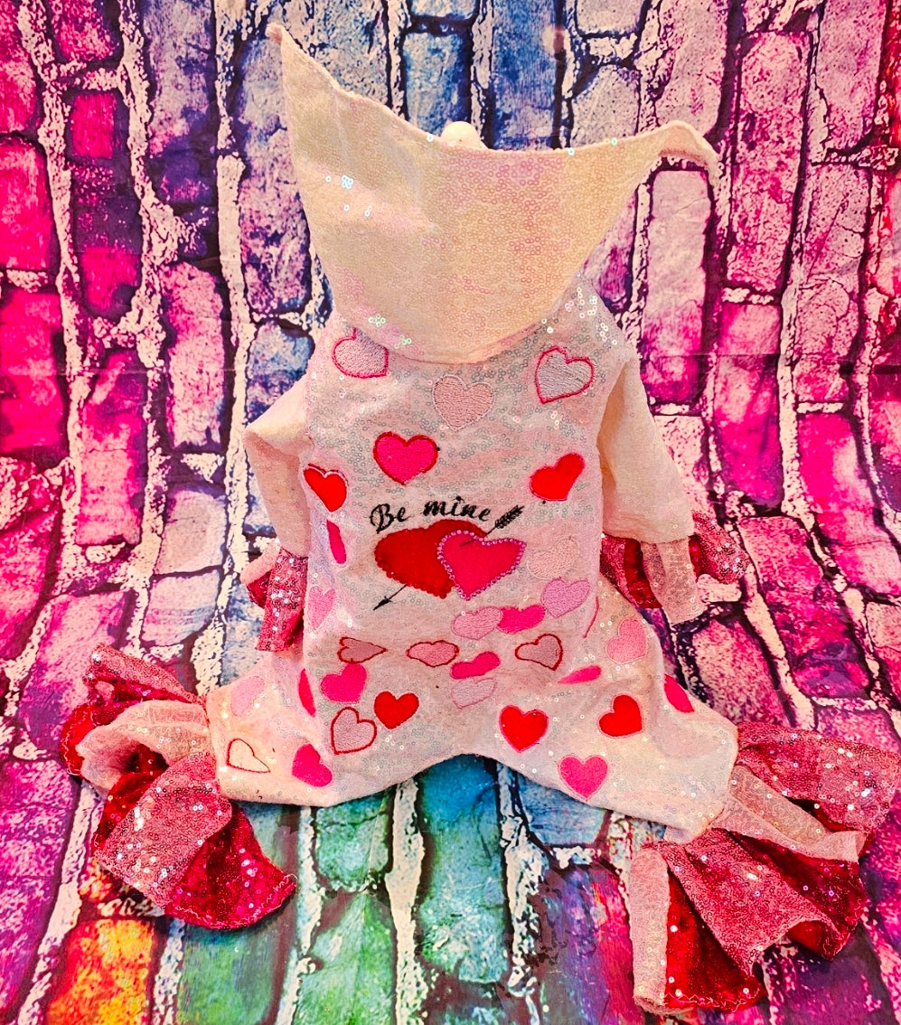 Valentine Pet body suit, Sequin valentine pet suit, Be mine valentine pet