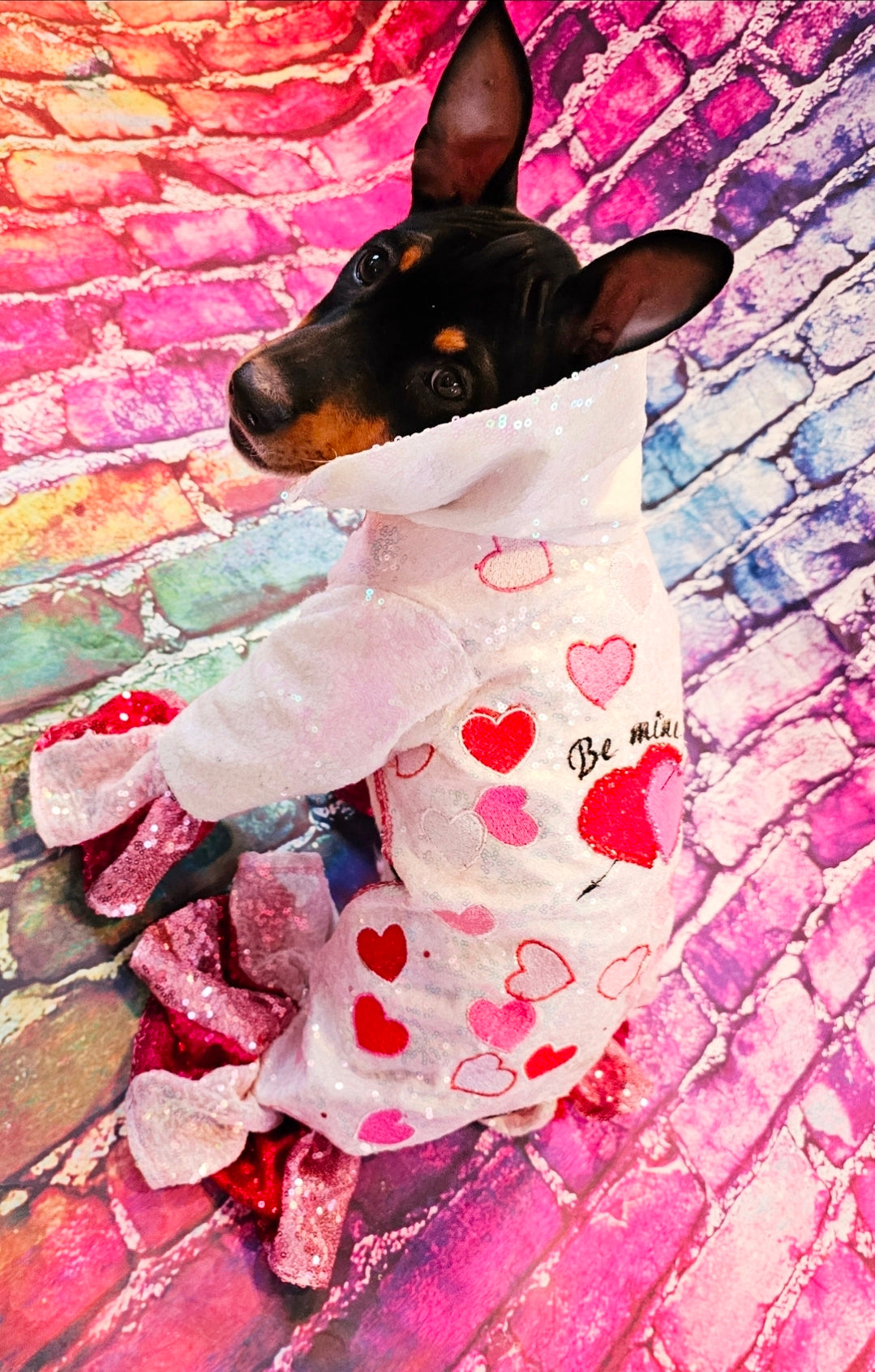 Valentine Pet body suit, Sequin valentine pet suit, Be mine valentine pet