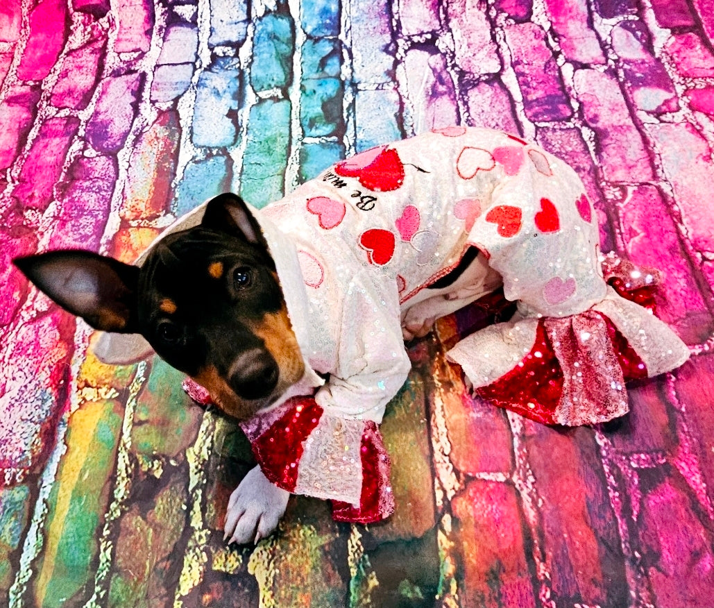 Valentine Pet body suit, Sequin valentine pet suit, Be mine valentine pet