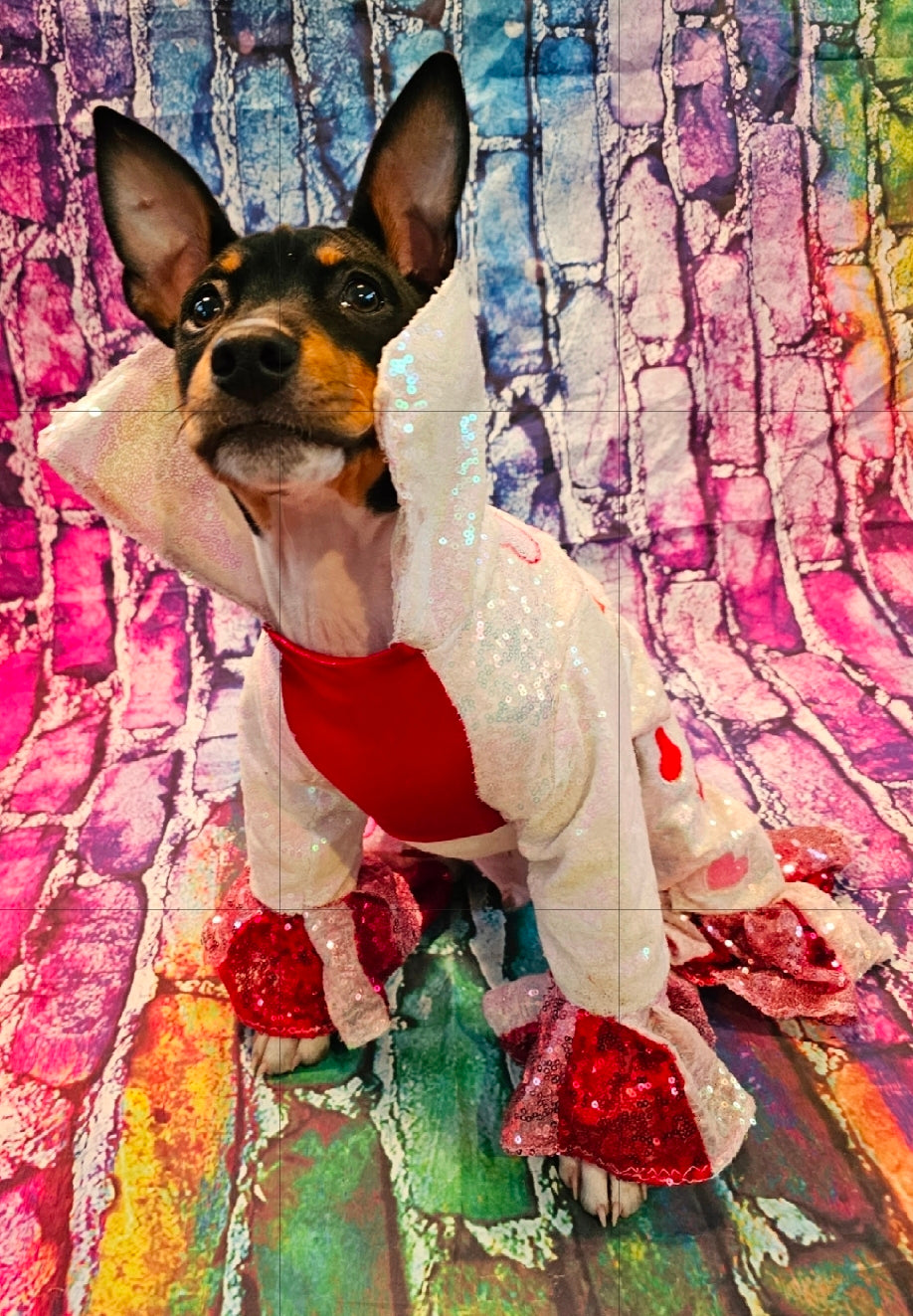 Valentine Pet body suit, Sequin valentine pet suit, Be mine valentine pet