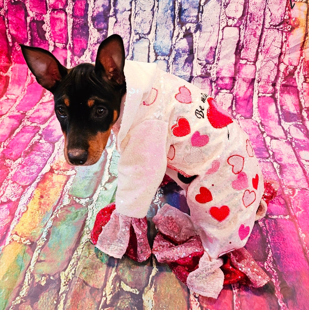 Valentine Pet body suit, Sequin valentine pet suit, Be mine valentine pet