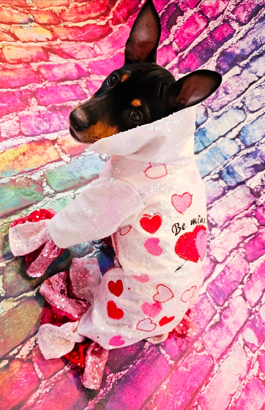 Valentine Pet body suit, Sequin valentine pet suit, Be mine valentine pet