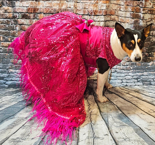 Couture pet dress, fushia pet dress, pink pet dress, Valentines pet dress, fushia dog dress, sequin pet dress, special occasion dog dress