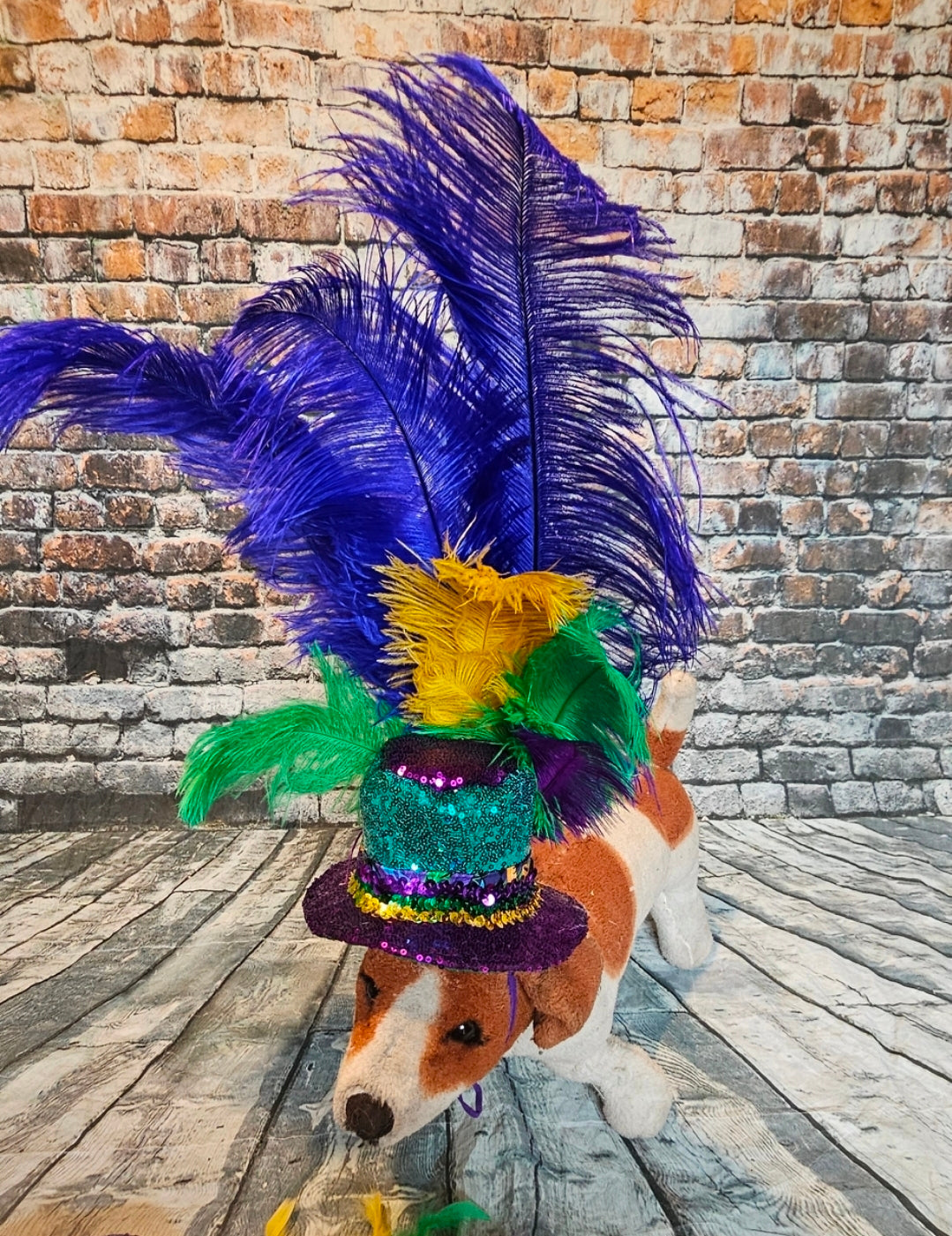 Mardi Gras Sequin feather pet hat, Fat Tuesday sequin pet hat, Feather Pet top hat