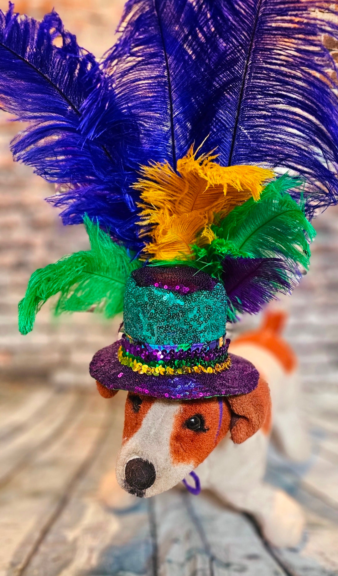 Mardi Gras Sequin feather pet hat, Fat Tuesday sequin pet hat, Feather Pet top hat