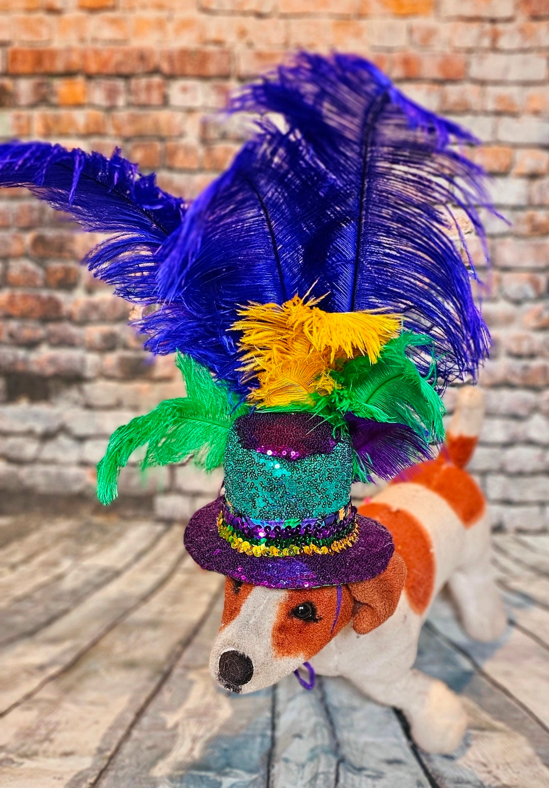 Mardi Gras Sequin feather pet hat, Fat Tuesday sequin pet hat, Feather Pet top hat