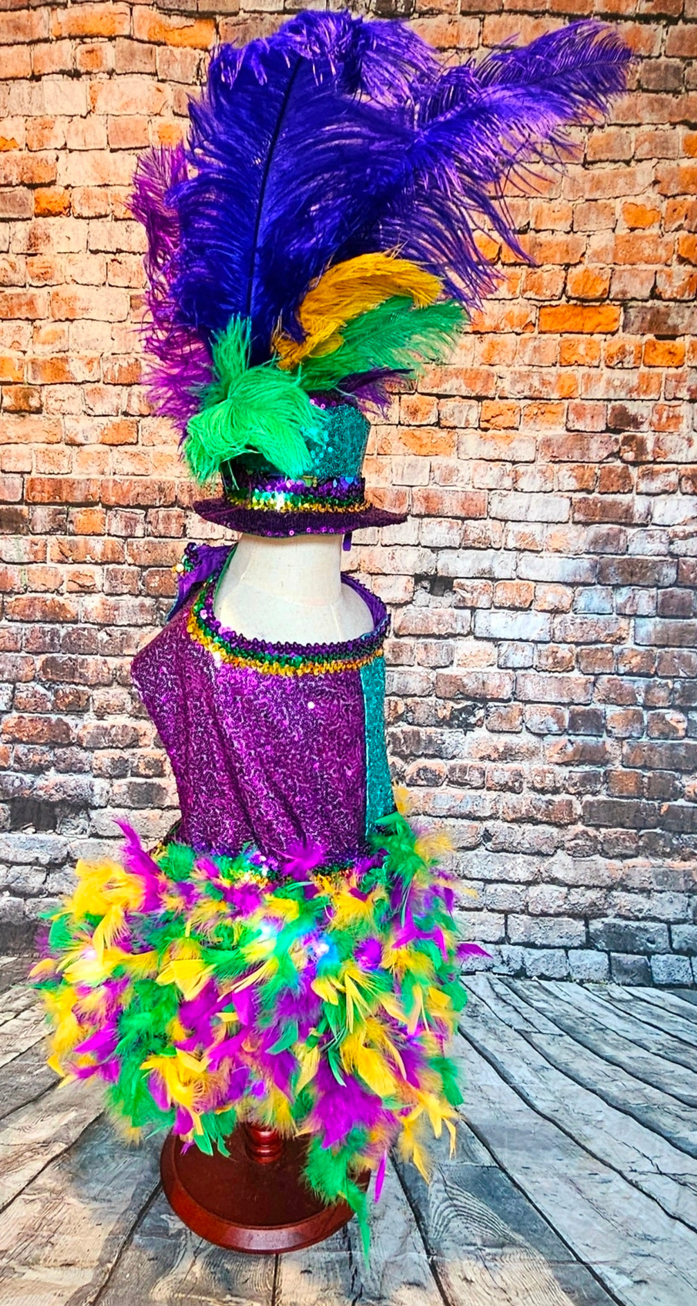 Mardi Gras Sequin feather pet hat, Fat Tuesday sequin pet hat, Feather Pet top hat