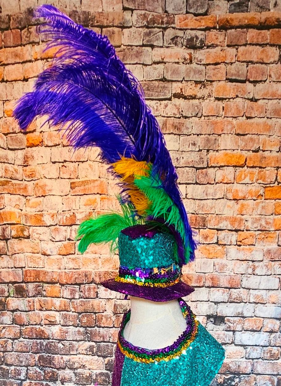 Mardi Gras Sequin feather pet hat, Fat Tuesday sequin pet hat, Feather Pet top hat