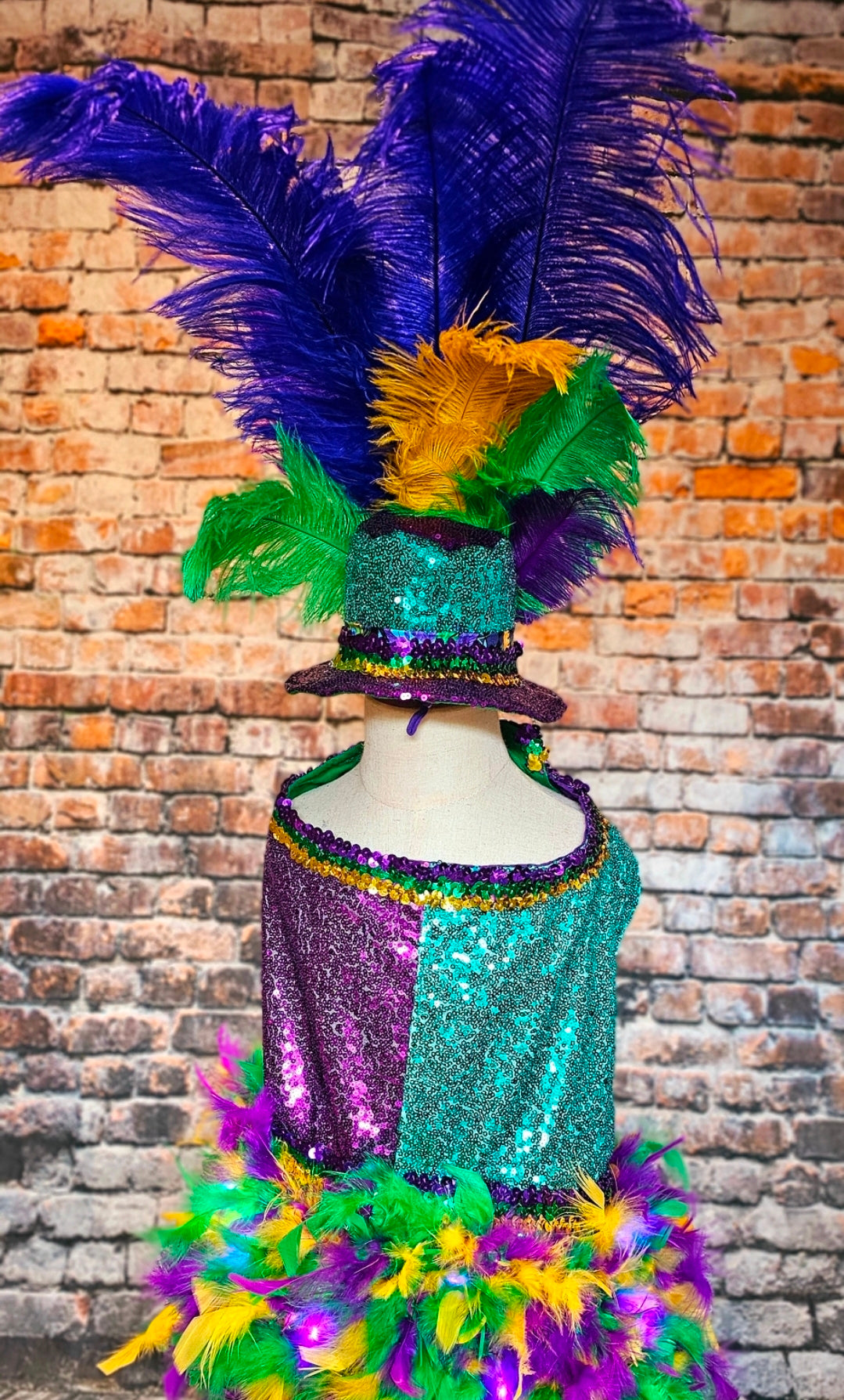 Mardi Gras Sequin feather pet hat, Fat Tuesday sequin pet hat, Feather Pet top hat