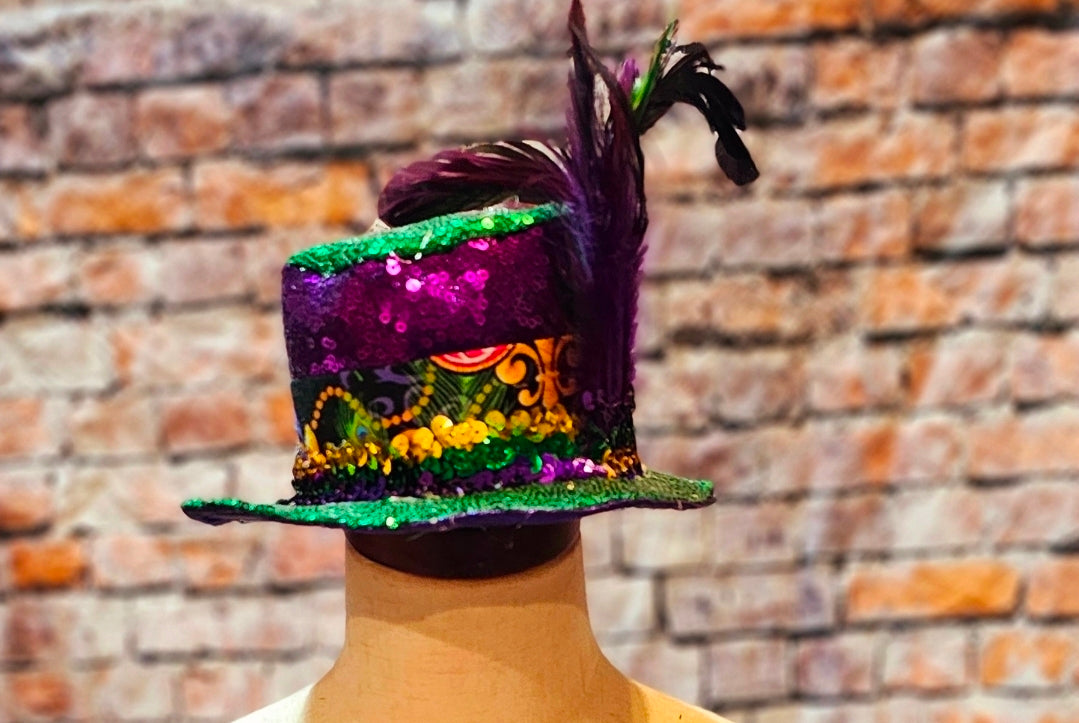 Mardi Gras Sequin pet hat, Fat Tuesday sequin pet hat, Feather Pet top hat
