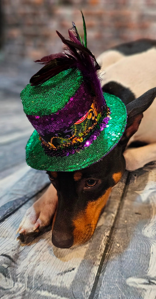 Mardi Gras Sequin pet hat, Fat Tuesday sequin pet hat, Feather Pet top hat