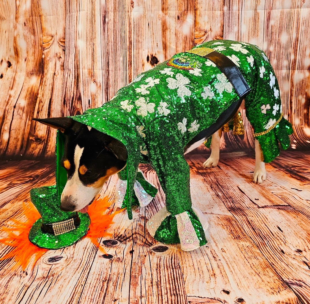 Leprechaun pet costume, Leprechaun dog costume, St. Patty's pet costume, sequin pet costume, Irish pet costume, St Patrick's Day pet costume