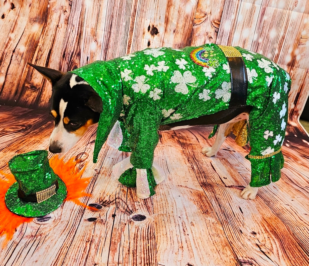 Leprechaun pet costume, Leprechaun dog costume, St. Patty's pet costume, sequin pet costume, Irish pet costume, St Patrick's Day pet costume