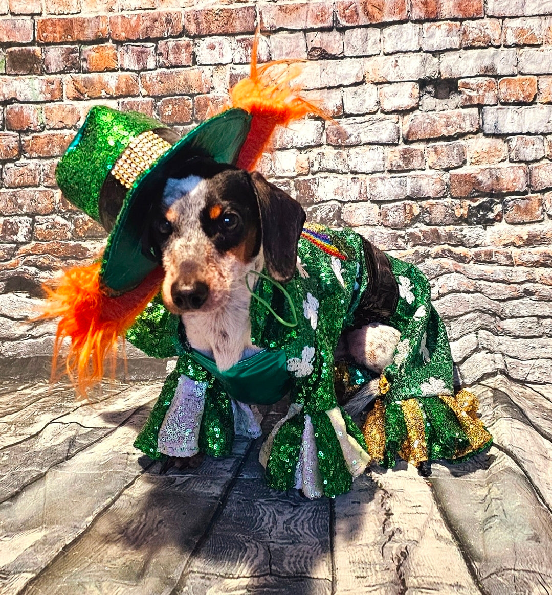 Leprechaun pet costume, Leprechaun dog costume, St. Patty's pet costume, sequin pet costume, Irish pet costume, St Patrick's Day pet costume