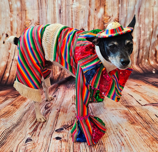 Cinco De Mayo Pet costume, Mariachi pet costume, Cinco De Mayo dog costume