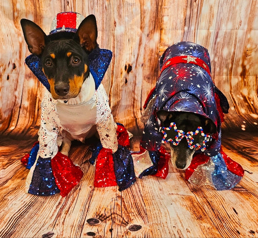July 4th pet costume, Red, white, and blue pet costume, July 4th pet suit
