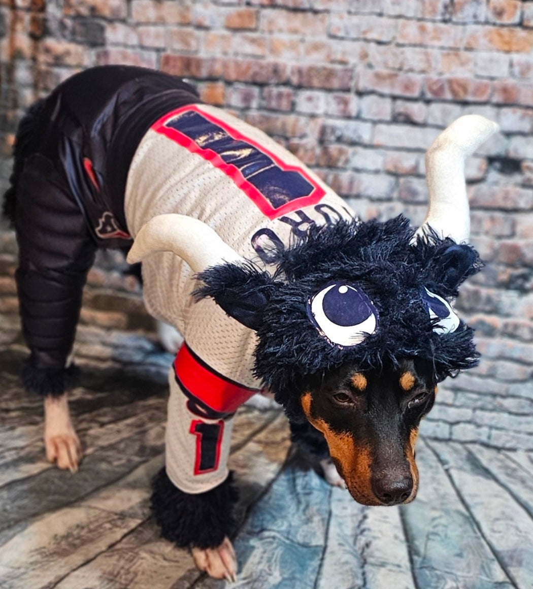 Toro The Texan Mascot pet costume, Toro dog costume, Texan pet fooball costume, Bull pet costume