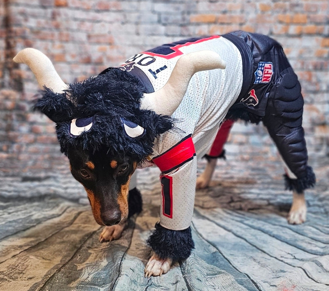 Toro The Texan Mascot pet costume, Toro dog costume, Texan pet fooball costume, Bull pet costume