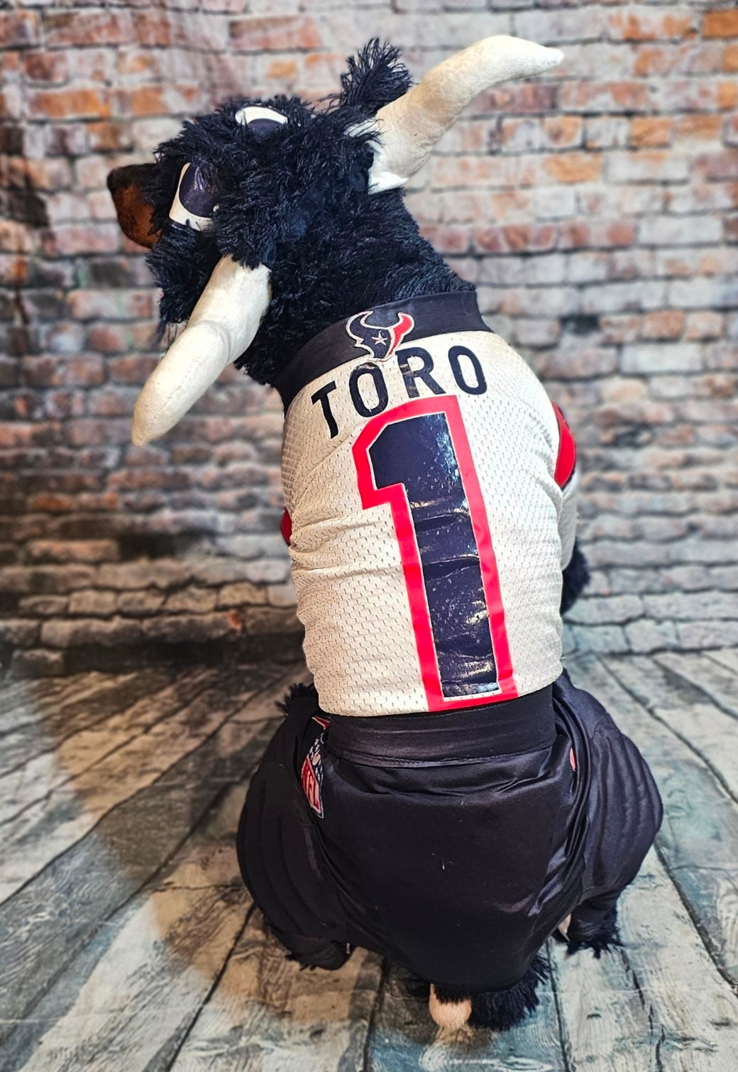 Toro The Texan Mascot pet costume, Toro dog costume, Texan pet fooball costume, Bull pet costume
