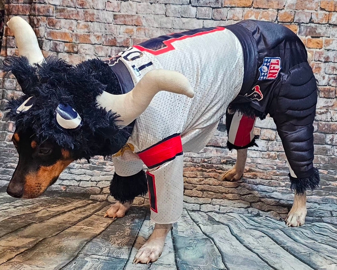 Toro The Texan Mascot pet costume, Toro dog costume, Texan pet fooball costume, Bull pet costume