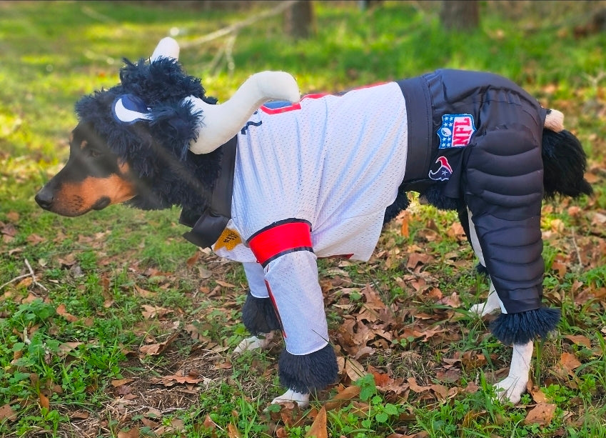 Toro The Texan Mascot pet costume, Toro dog costume, Texan pet fooball costume, Bull pet costume