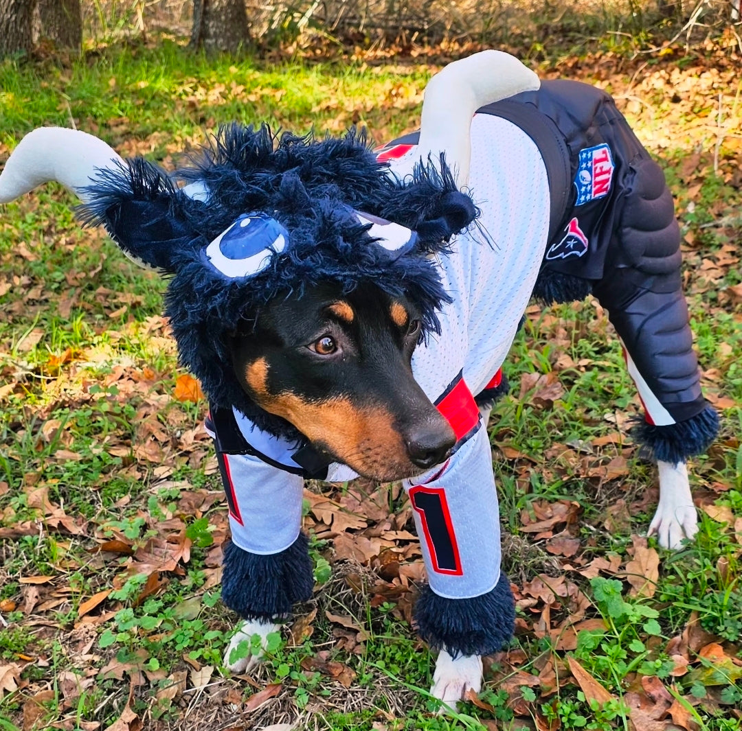 Toro The Texan Mascot pet costume, Toro dog costume, Texan pet fooball costume, Bull pet costume