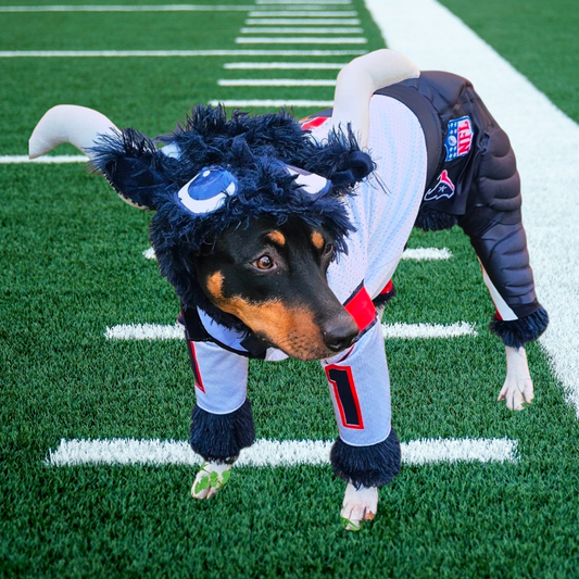 Toro The Texan Mascot pet costume, Toro dog costume, Texan pet fooball costume, Bull pet costume