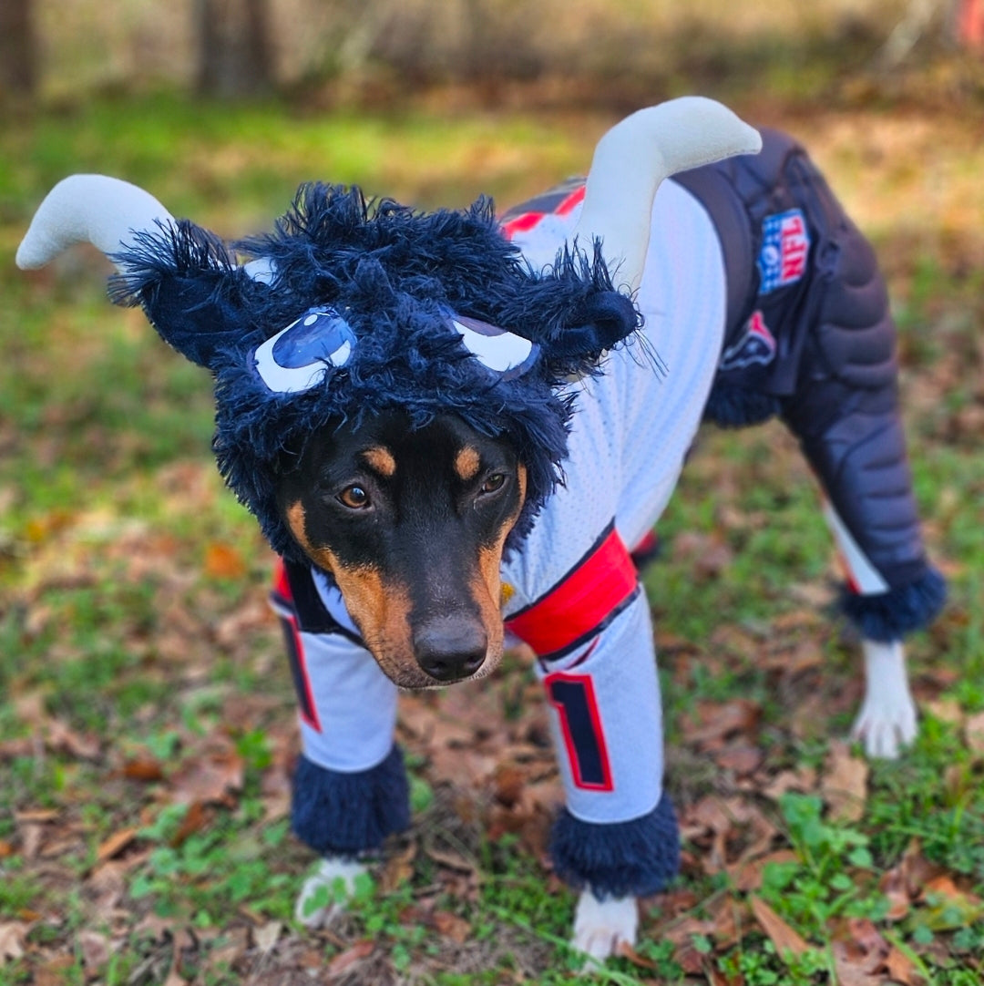 Toro The Texan Mascot pet costume, Toro dog costume, Texan pet fooball costume, Bull pet costume