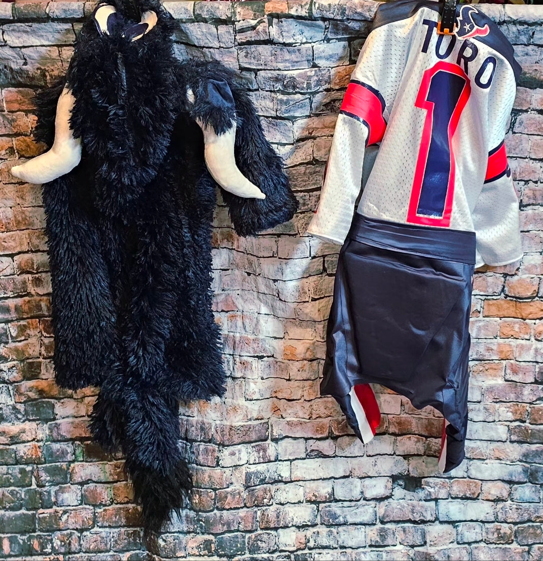 Toro The Texan Mascot pet costume, Toro dog costume, Texan pet fooball costume, Bull pet costume