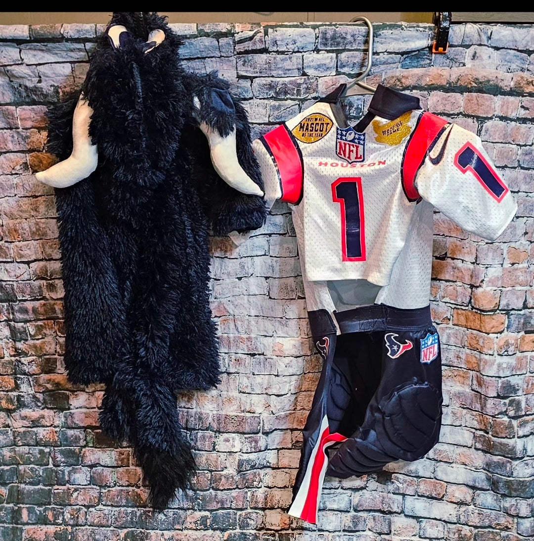 Toro The Texan Mascot pet costume, Toro dog costume, Texan pet fooball costume, Bull pet costume