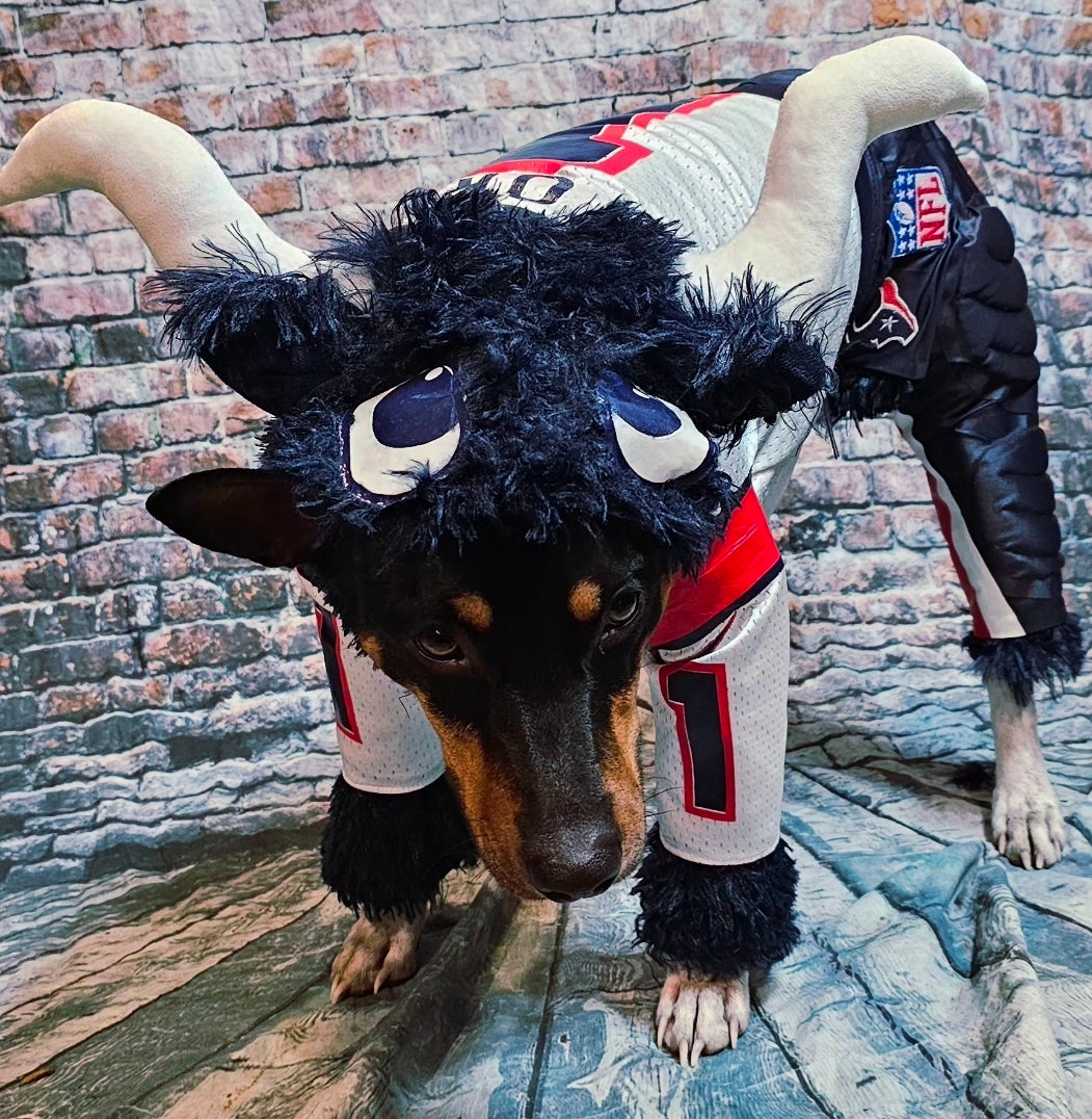 Toro The Texan Mascot pet costume, Toro dog costume, Texan pet fooball costume, Bull pet costume