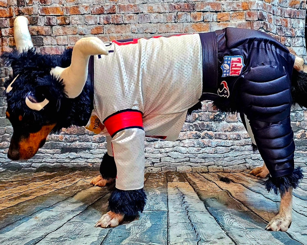 Toro The Texan Mascot pet costume, Toro dog costume, Texan pet fooball costume, Bull pet costume
