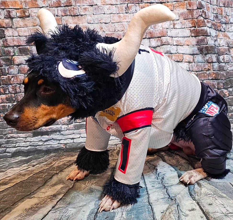 Toro The Texan Mascot pet costume, Toro dog costume, Texan pet fooball costume, Bull pet costume