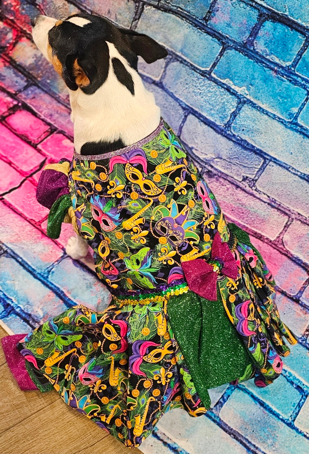 Mardi Gras Pet Dress, Mardi Gras Pet Costume, Mardi gras dog dress and mask