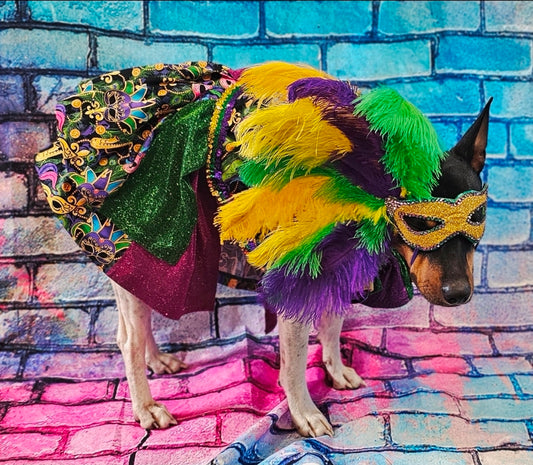 Mardi Gras Pet Dress, Mardi Gras Pet Costume, Mardi gras dog dress and mask