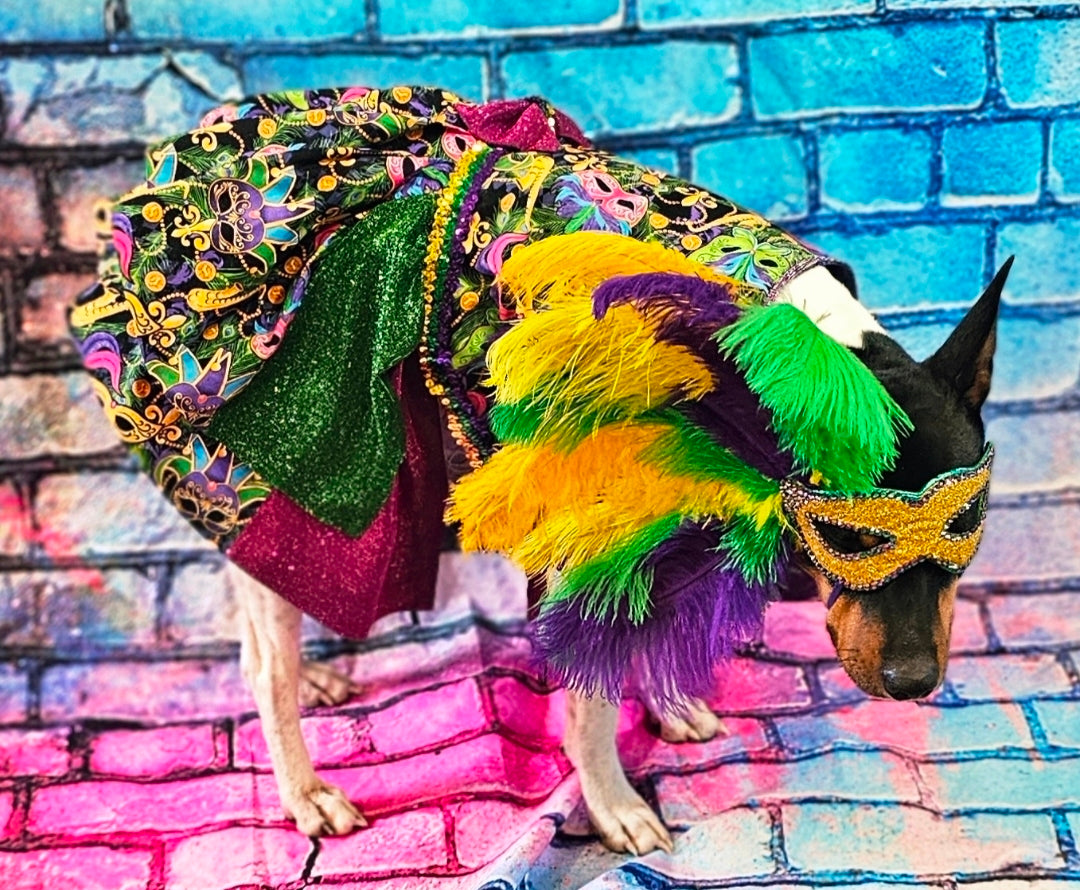 Mardi Gras Pet Dress, Mardi Gras Pet Costume, Mardi gras dog dress and mask