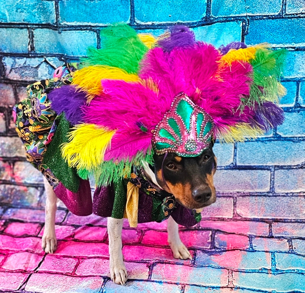 Mardi Gras Pet Dress, Mardi Gras Pet Costume, Mardi gras dog dress and mask