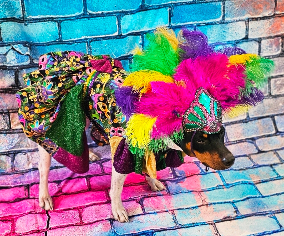 Mardi Gras Pet Dress, Mardi Gras Pet Costume, Mardi gras dog dress and mask