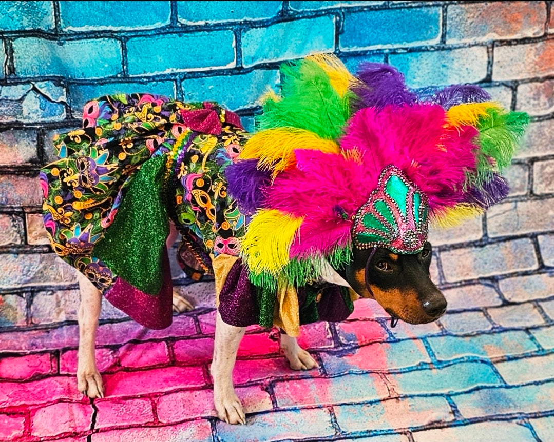 Mardi Gras Pet Dress, Mardi Gras Pet Costume, Mardi gras dog dress and mask