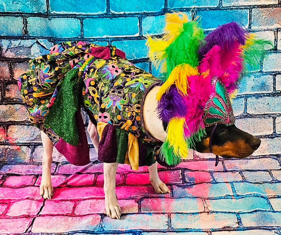 Mardi Gras Pet Dress, Mardi Gras Pet Costume, Mardi gras dog dress and mask